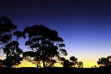 sunrise silverton 2011.jpg
